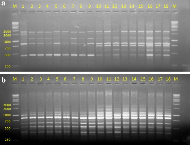 Fig. 7