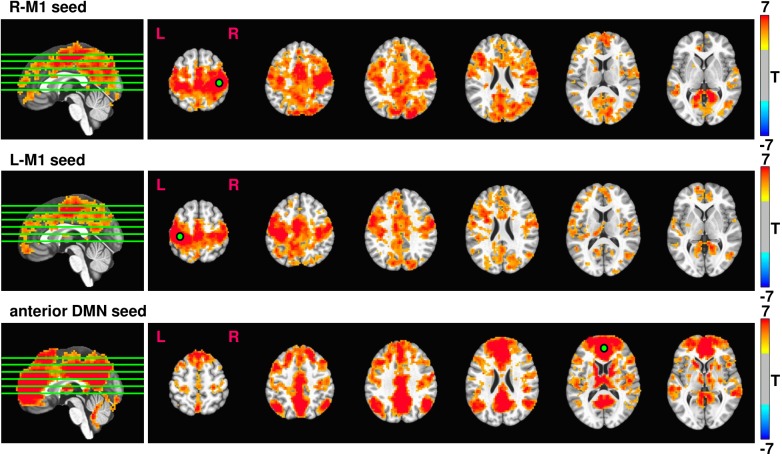 FIGURE 3