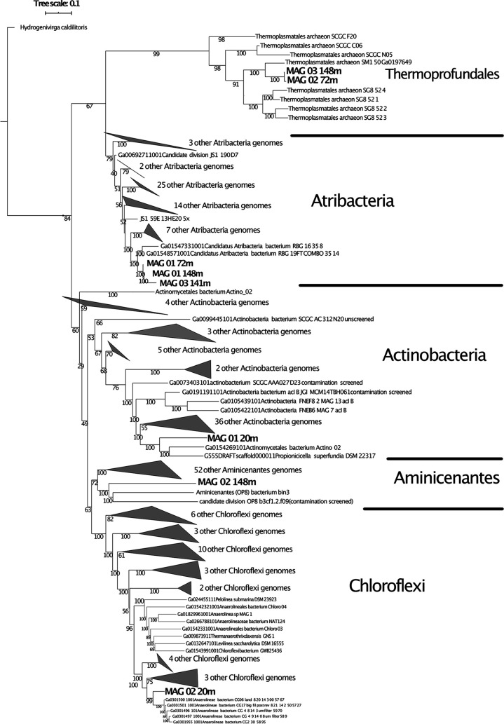 FIG 2