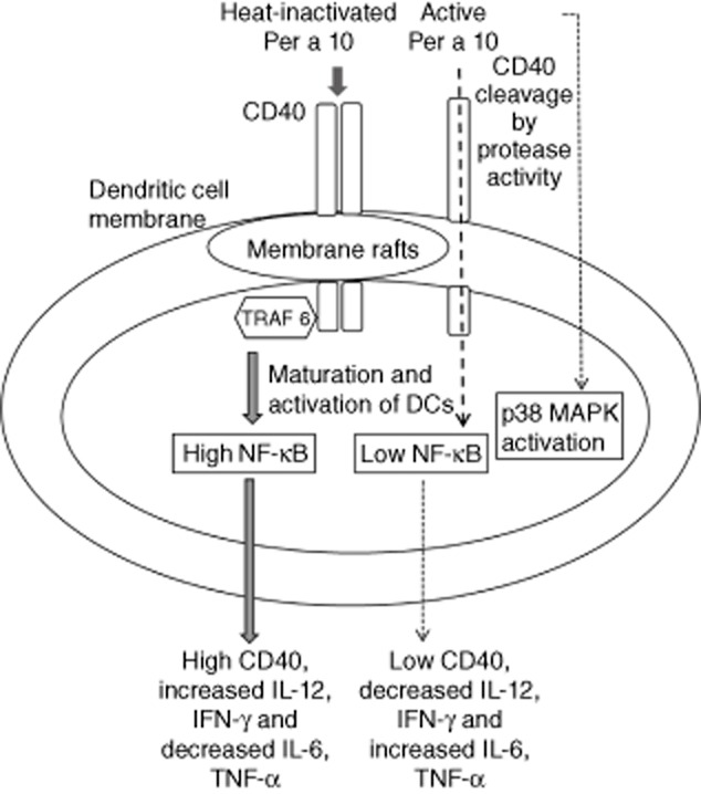 Fig 7