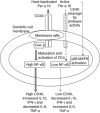 Fig 7