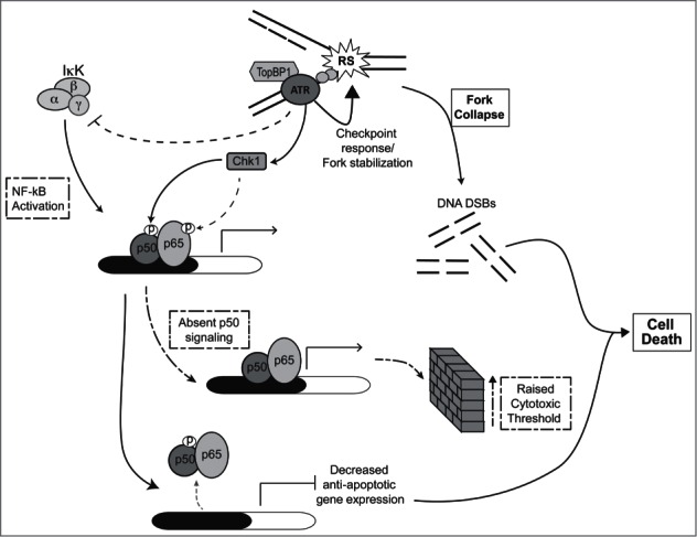 Figure 7.