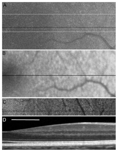 Fig. 38.1