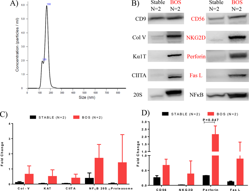 Figure 6: