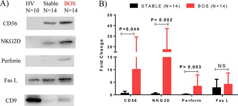 Figure 7: