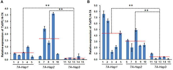 Figure 6