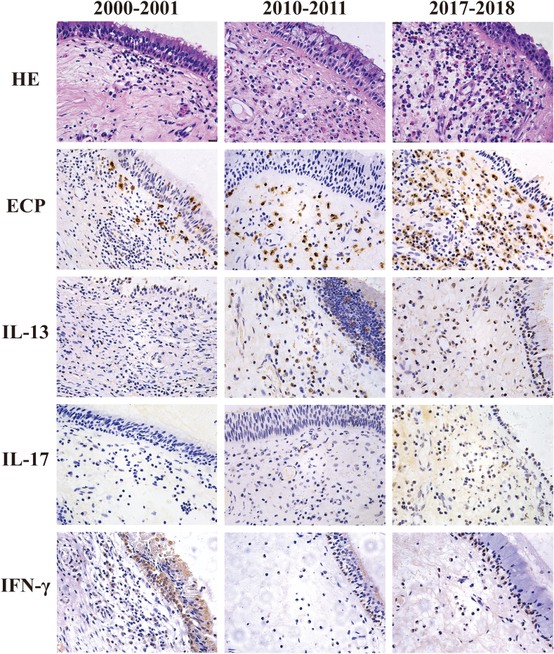 Fig. 2