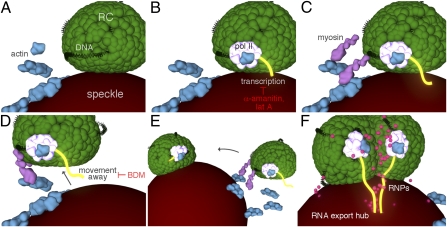 Fig. 7.