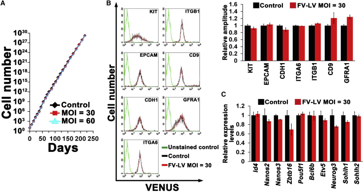 Figure 2