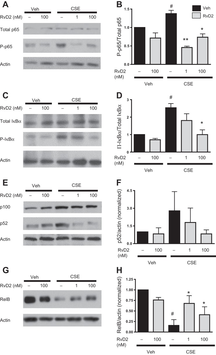 Fig. 9.