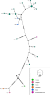 Fig. 6