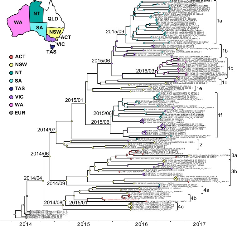 FIG 4