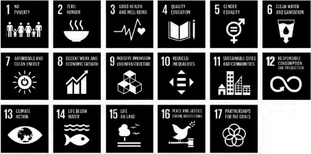 Fig. 10. Sustainable Development Goals (SDGs). Source: UNITED NATIONS DEPARTMENT OF PUBLIC INFORMATION.