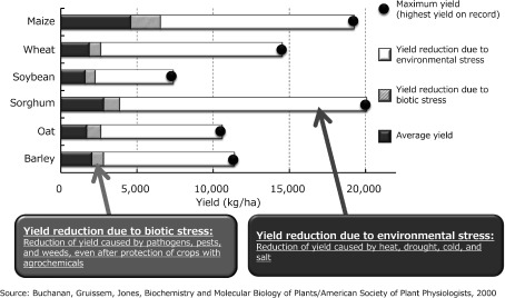 Fig. 9. Crop stress management: yield reduction in crops due to environmental stress. Source: Buchanan, Gruissem, Jones, Biochemistry and Molecular Biology of Plants/American Society of Plant Physiologists, 2000.