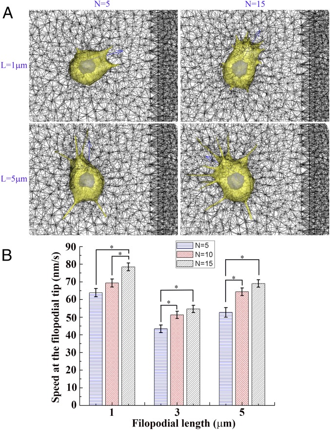 Fig. 6.