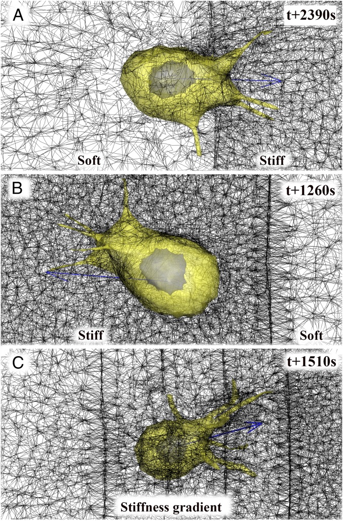 Fig. 5.