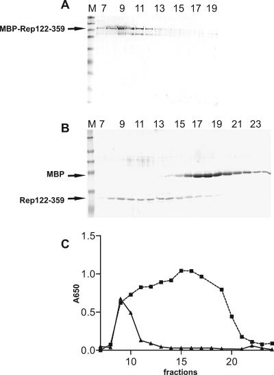 FIG. 5.