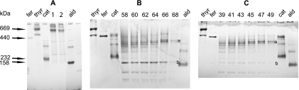 FIG. 6.