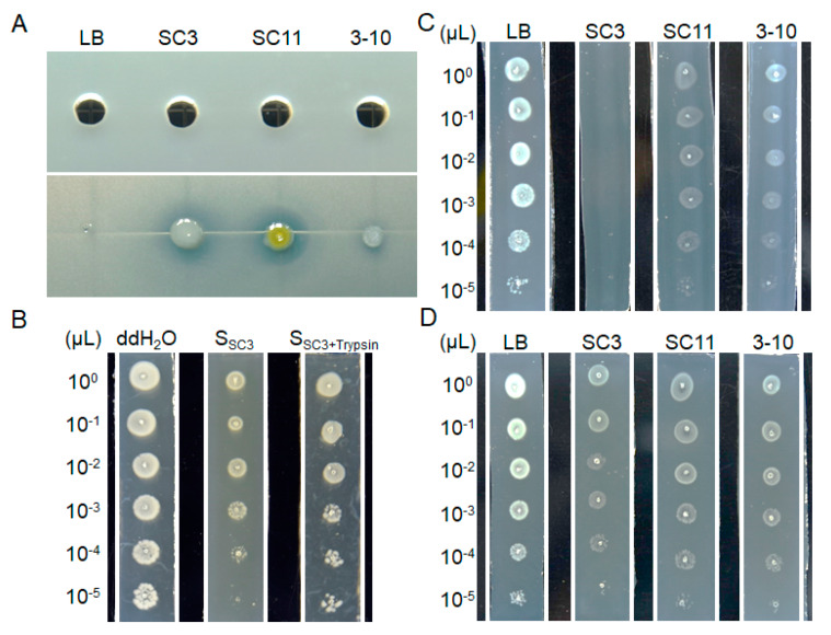 Figure 6