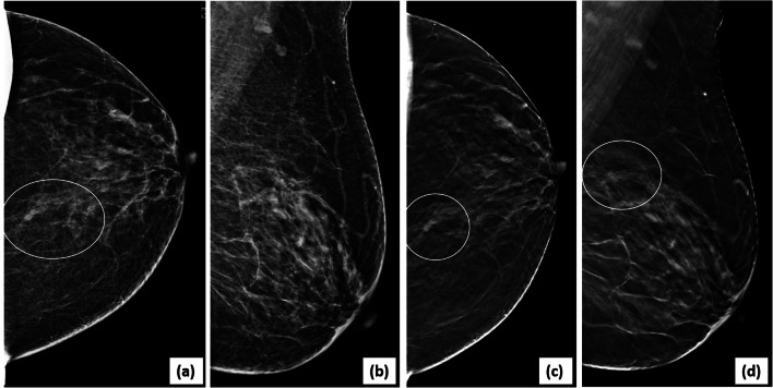 Fig. 5