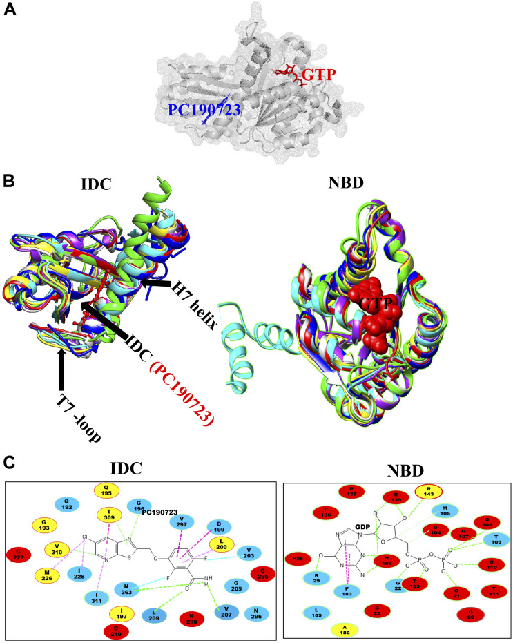 FIGURE 3