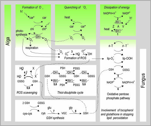 Fig. 2.