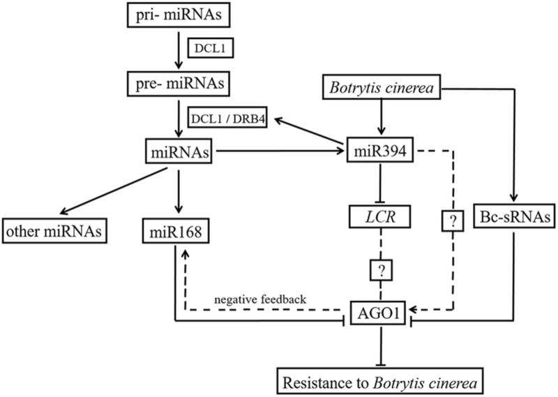 FIGURE 9