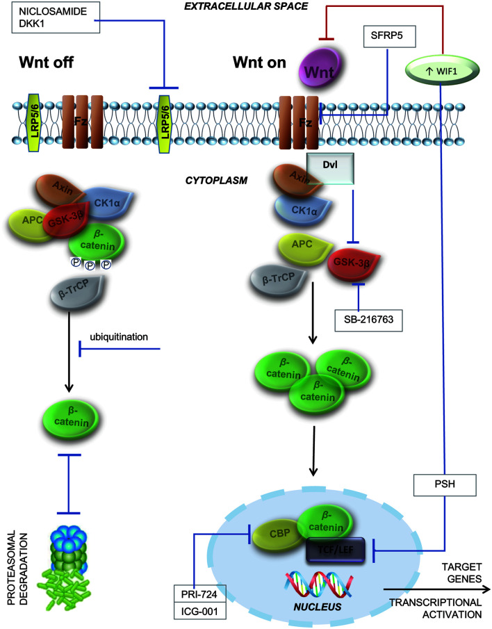 Fig. 3