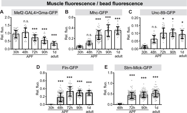 Figure 6—figure supplement 3.