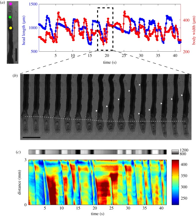 Figure 10.