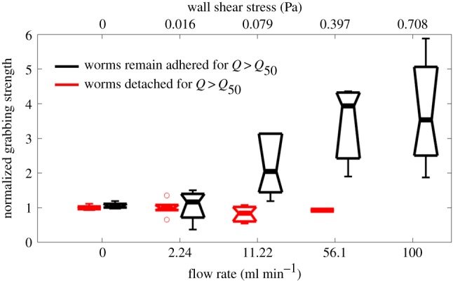 Figure 5.