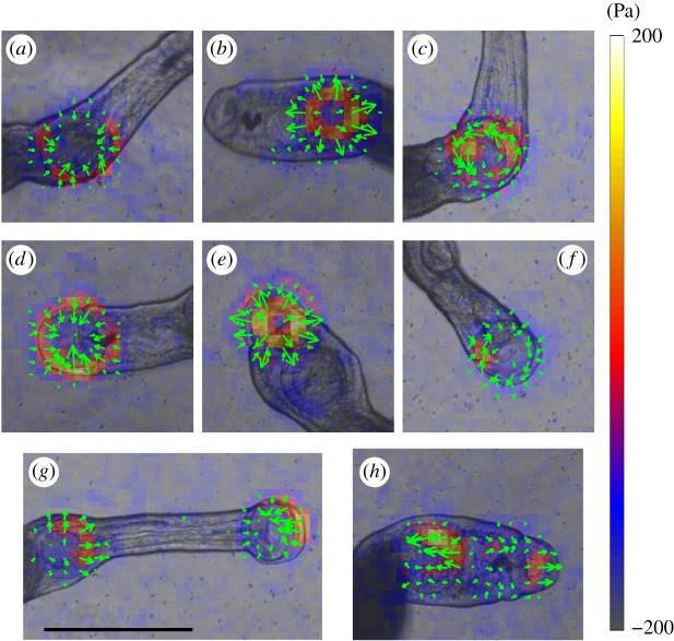 Figure 2.