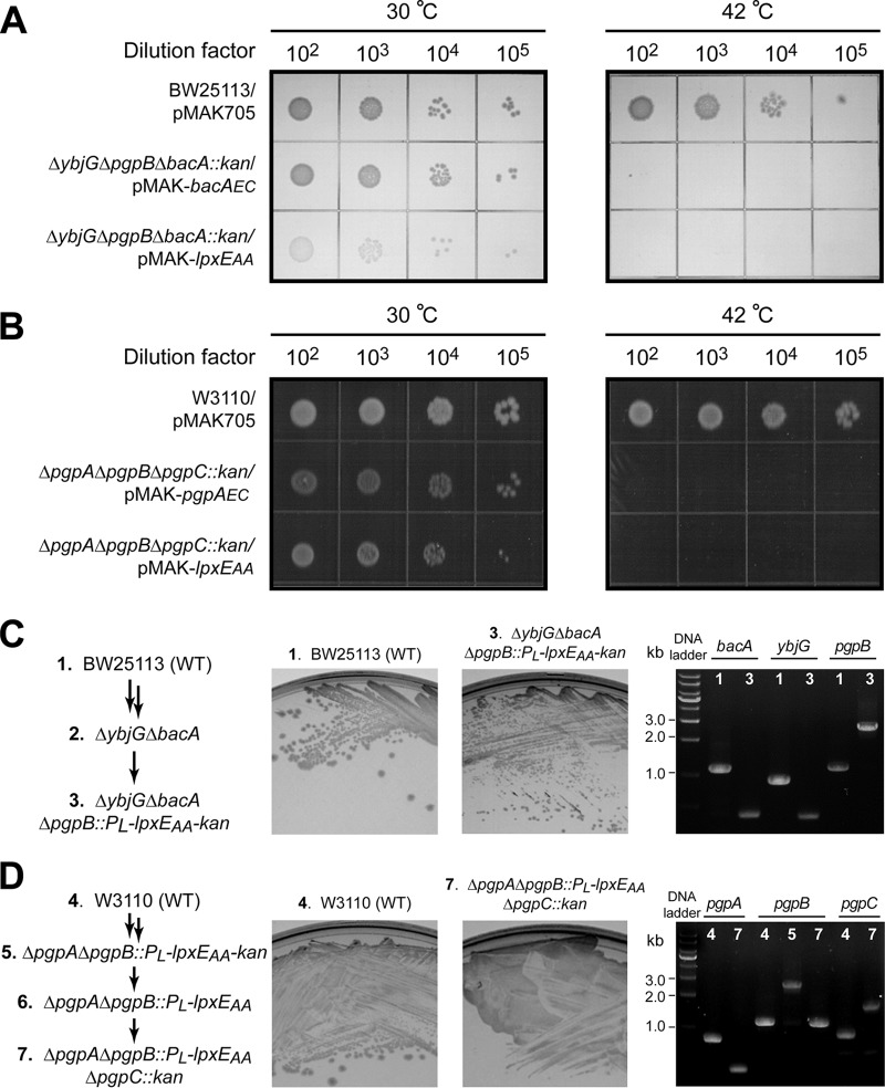 FIG 3