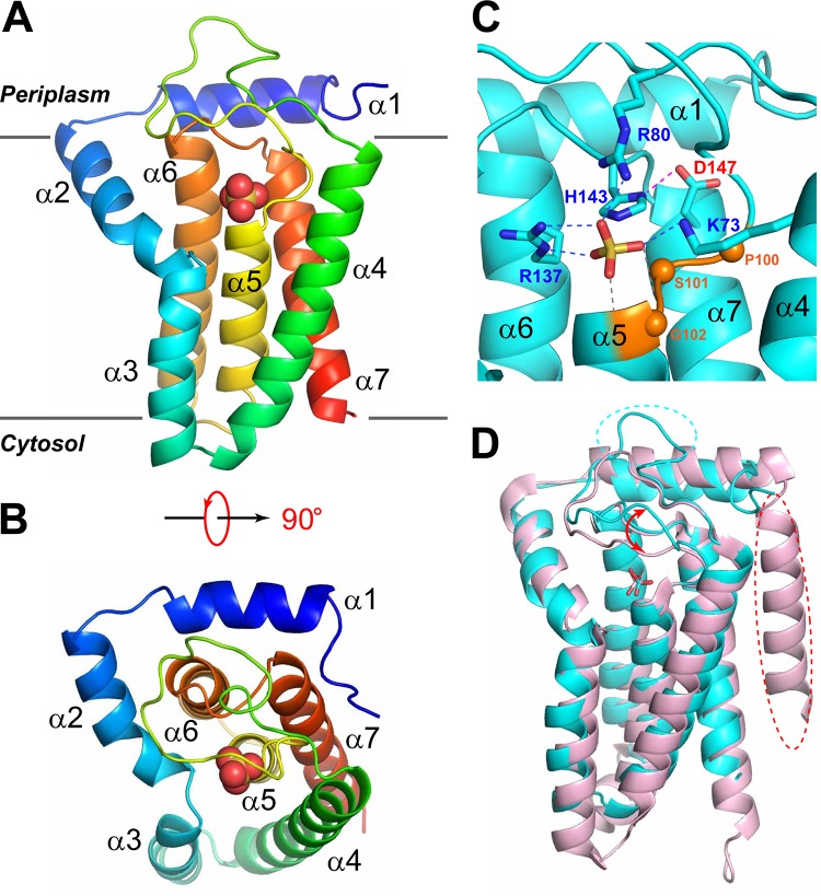 FIG 2