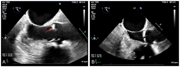 Figure 5.