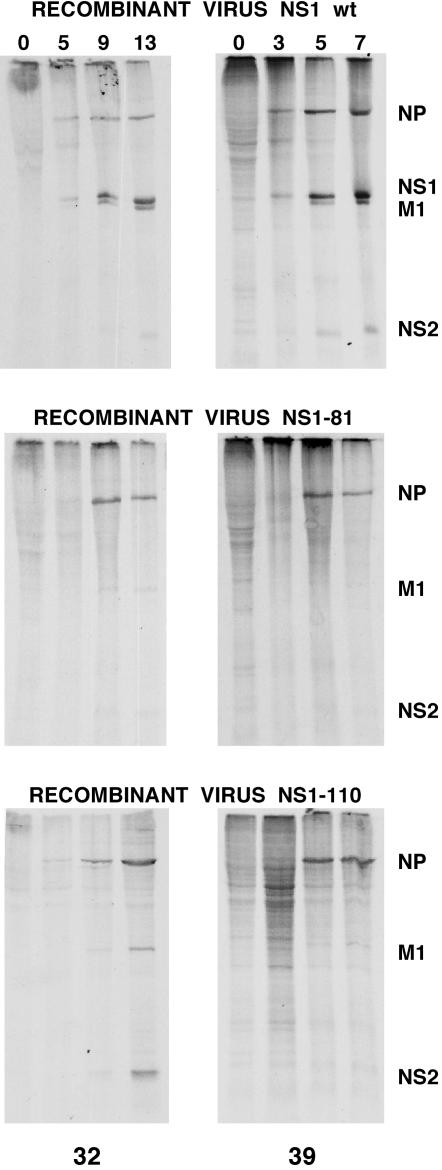 FIG. 6.