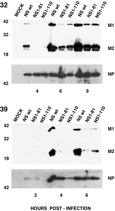 FIG. 7.