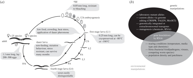 Figure 1.