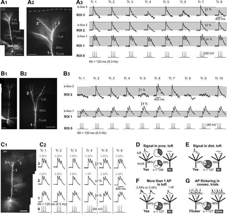 Fig. 3.