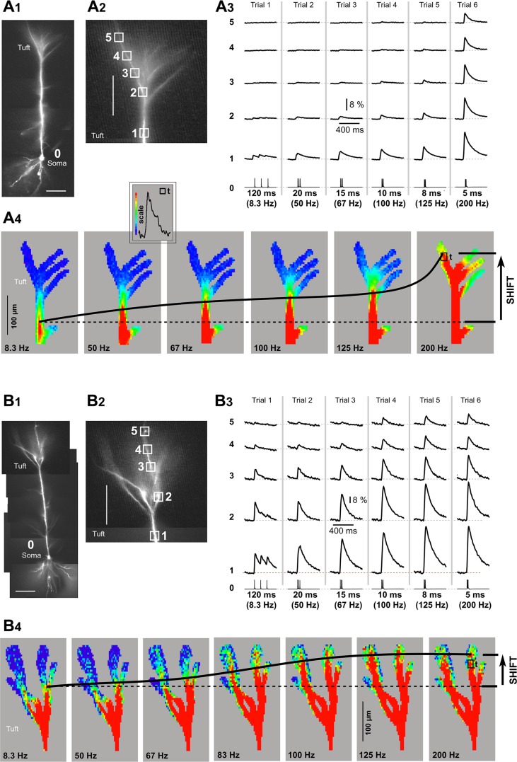 Fig. 2.