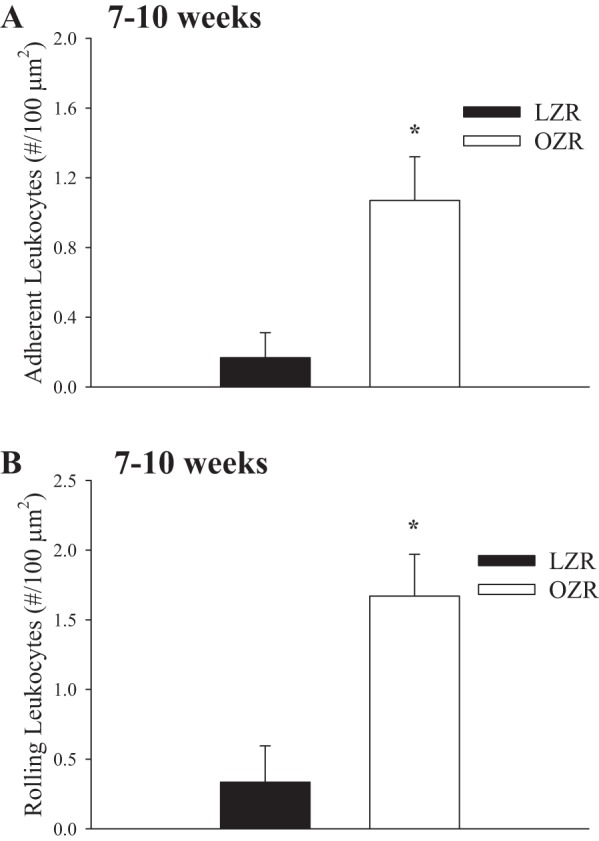 Fig. 11.