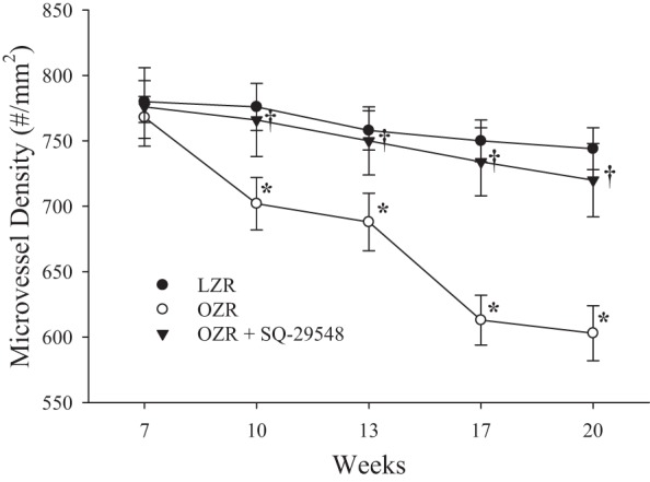 Fig. 13.