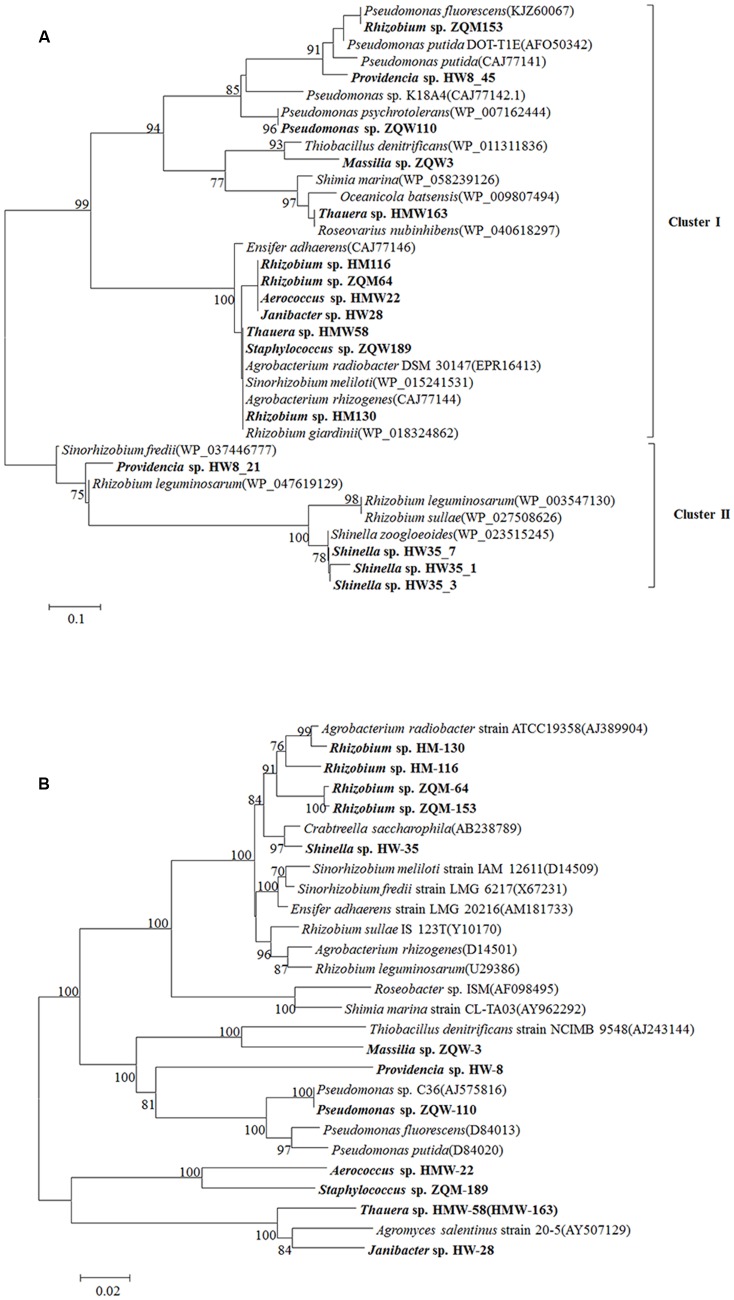 FIGURE 6