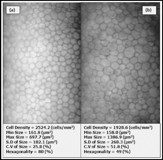 Fig.1