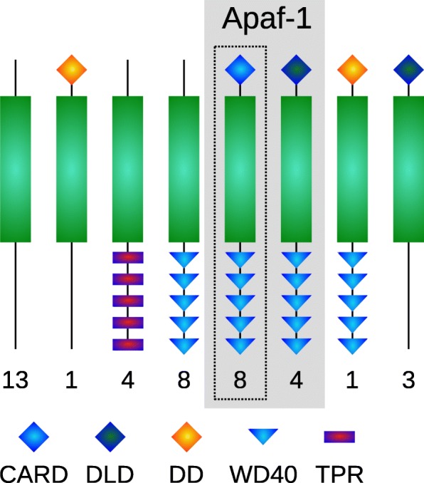 Fig. 3