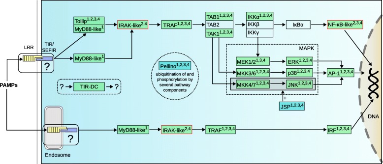 Fig. 1