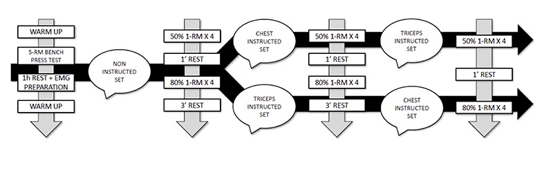 Fig 1.