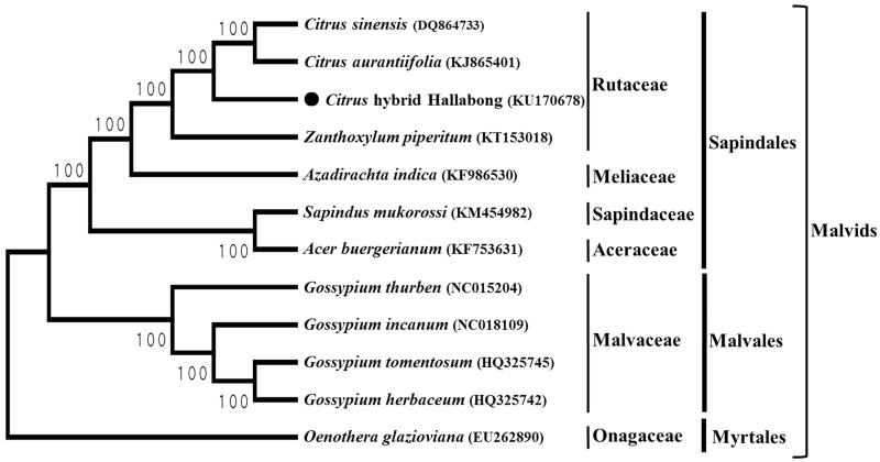 Figure 1.