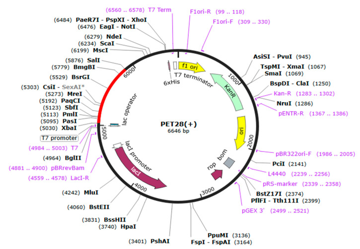 Figure 6