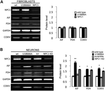 Figure 4.